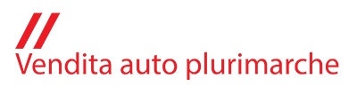 logo Delpi.Car